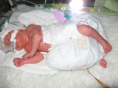 IMG_1847 [1024x768].JPG